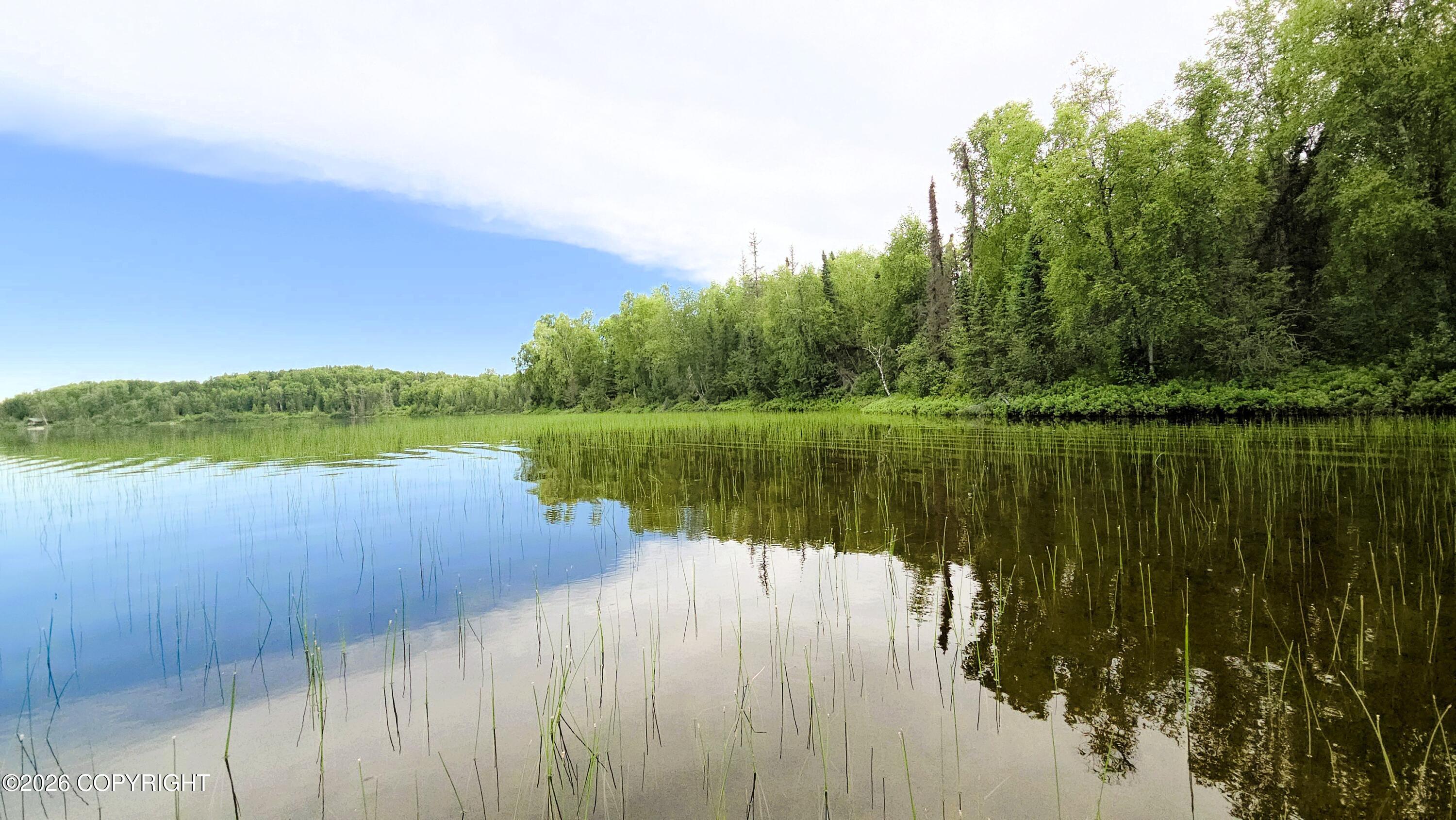Tr E East Butterfly Lake Property Photo 6