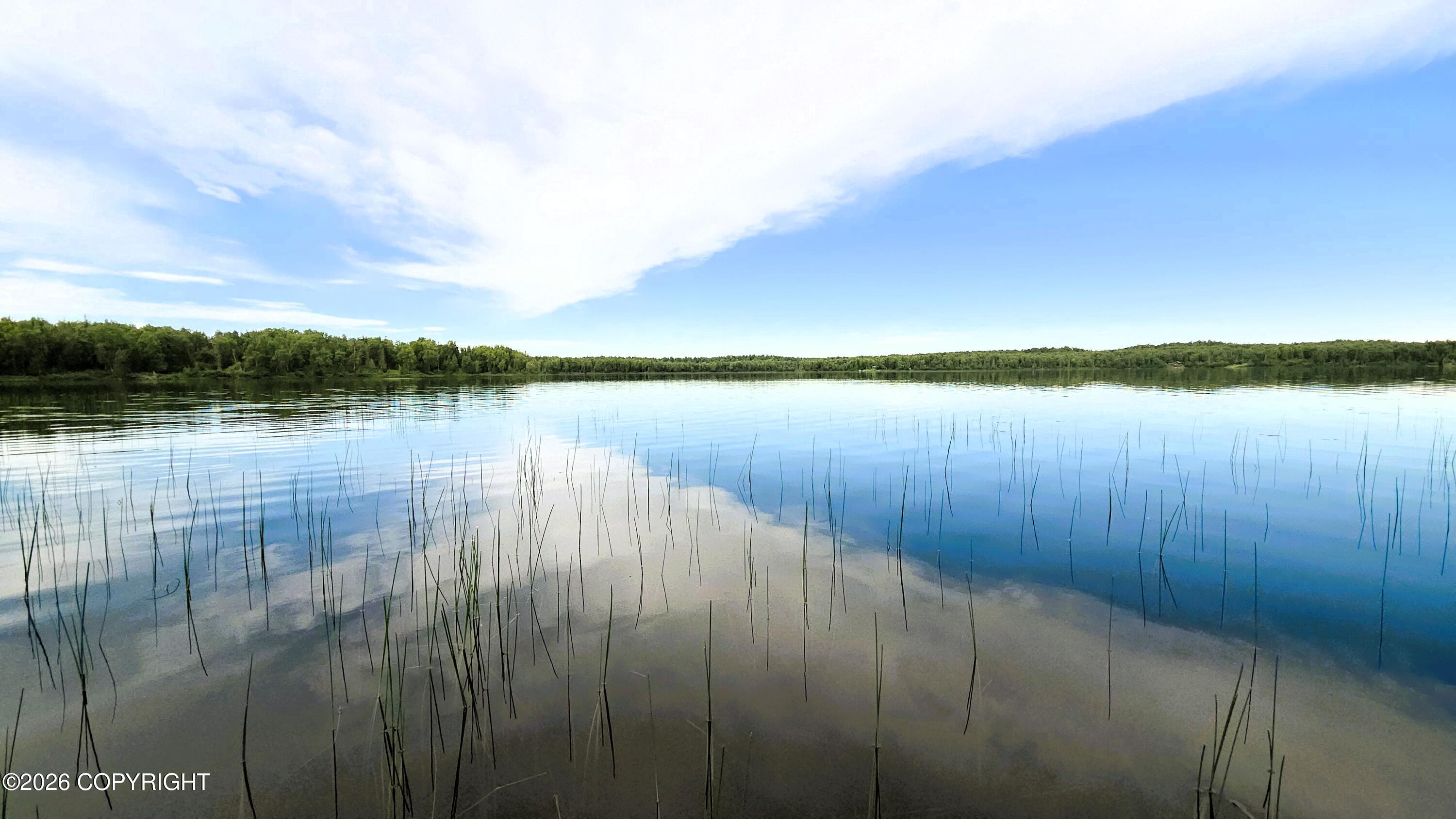 Tr E East Butterfly Lake Property Photo 7