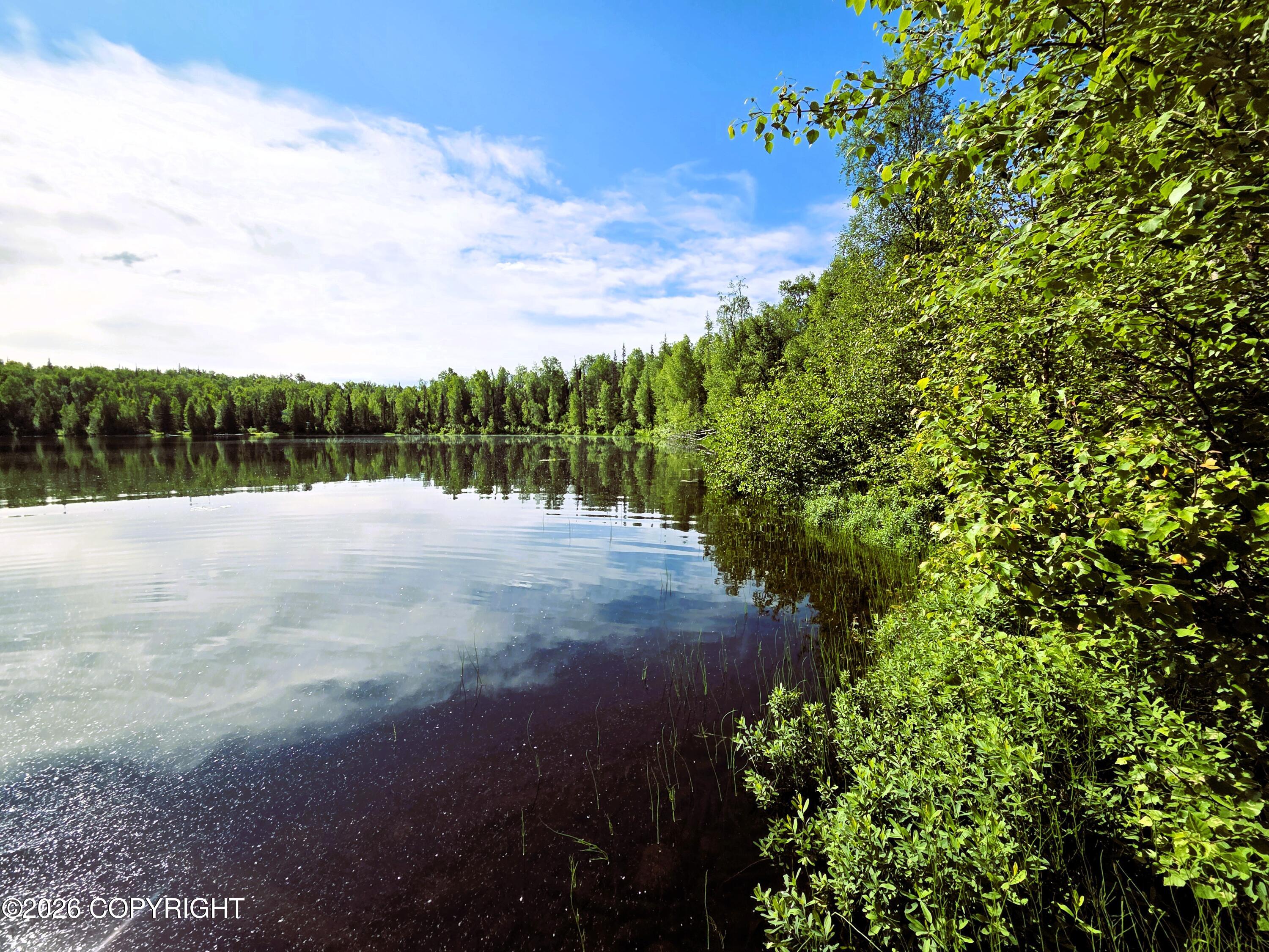 Tr E East Butterfly Lake Property Photo 10