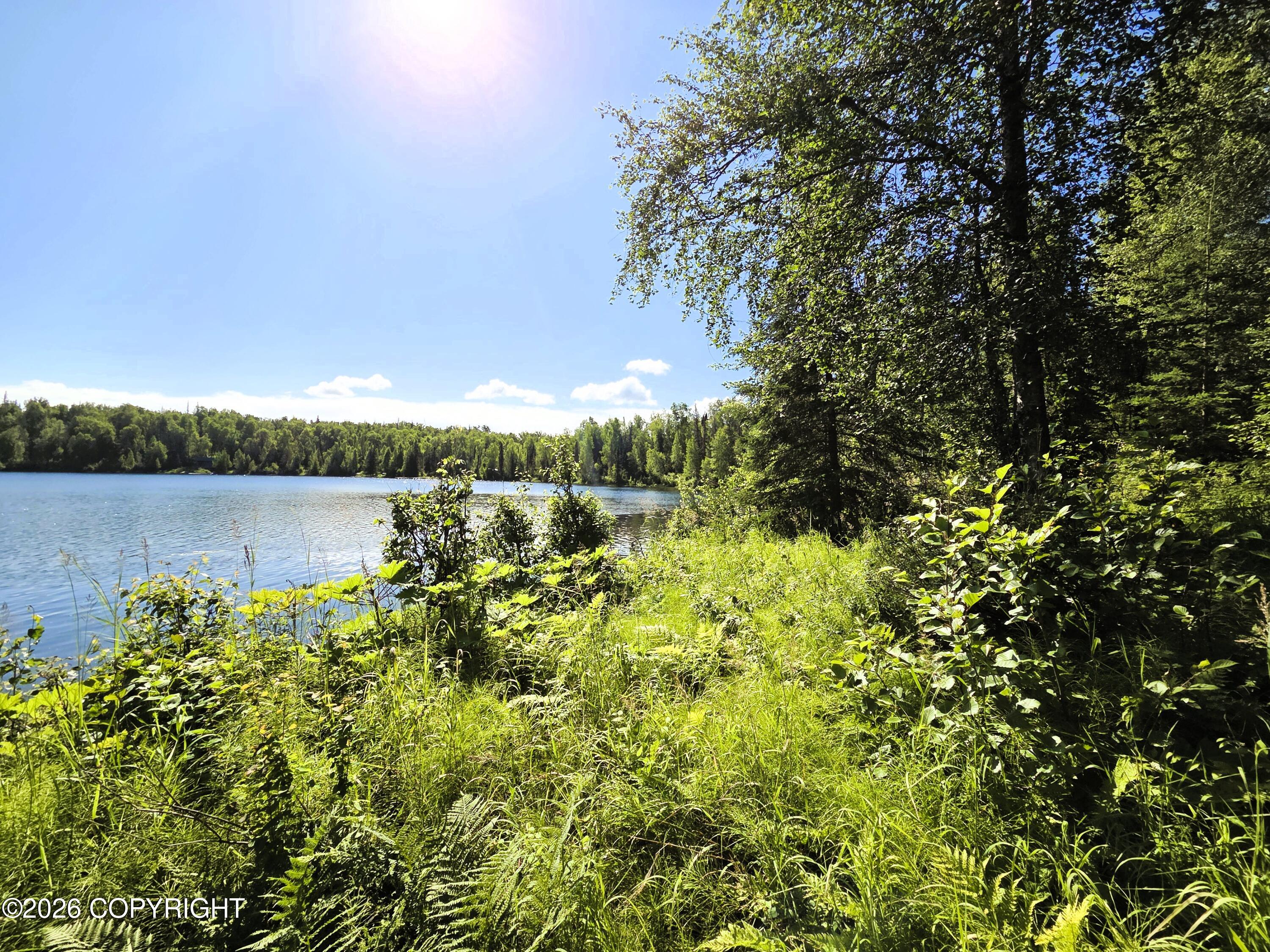 Tr E East Butterfly Lake Property Photo 12