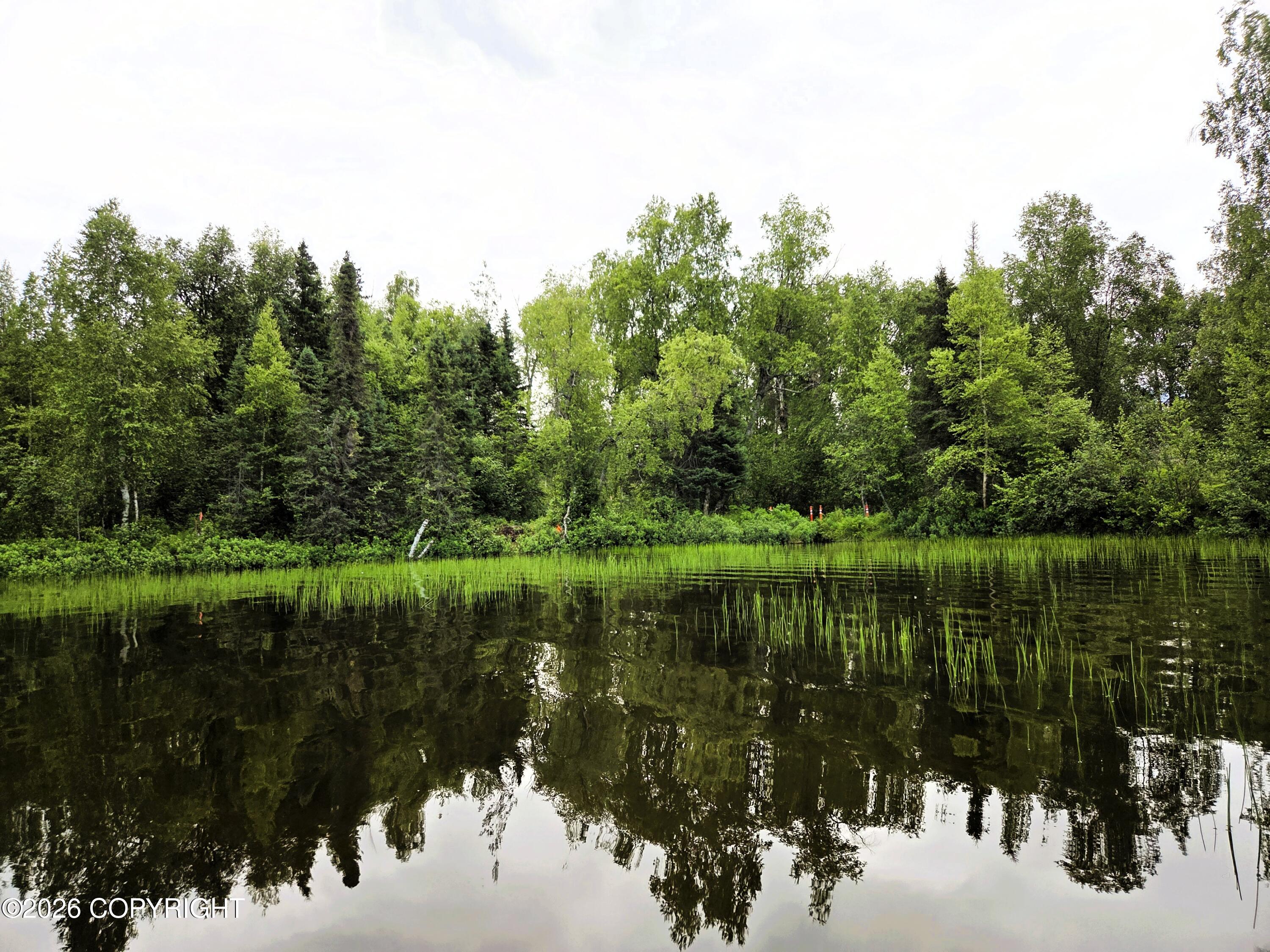 Tr E East Butterfly Lake Property Photo 13
