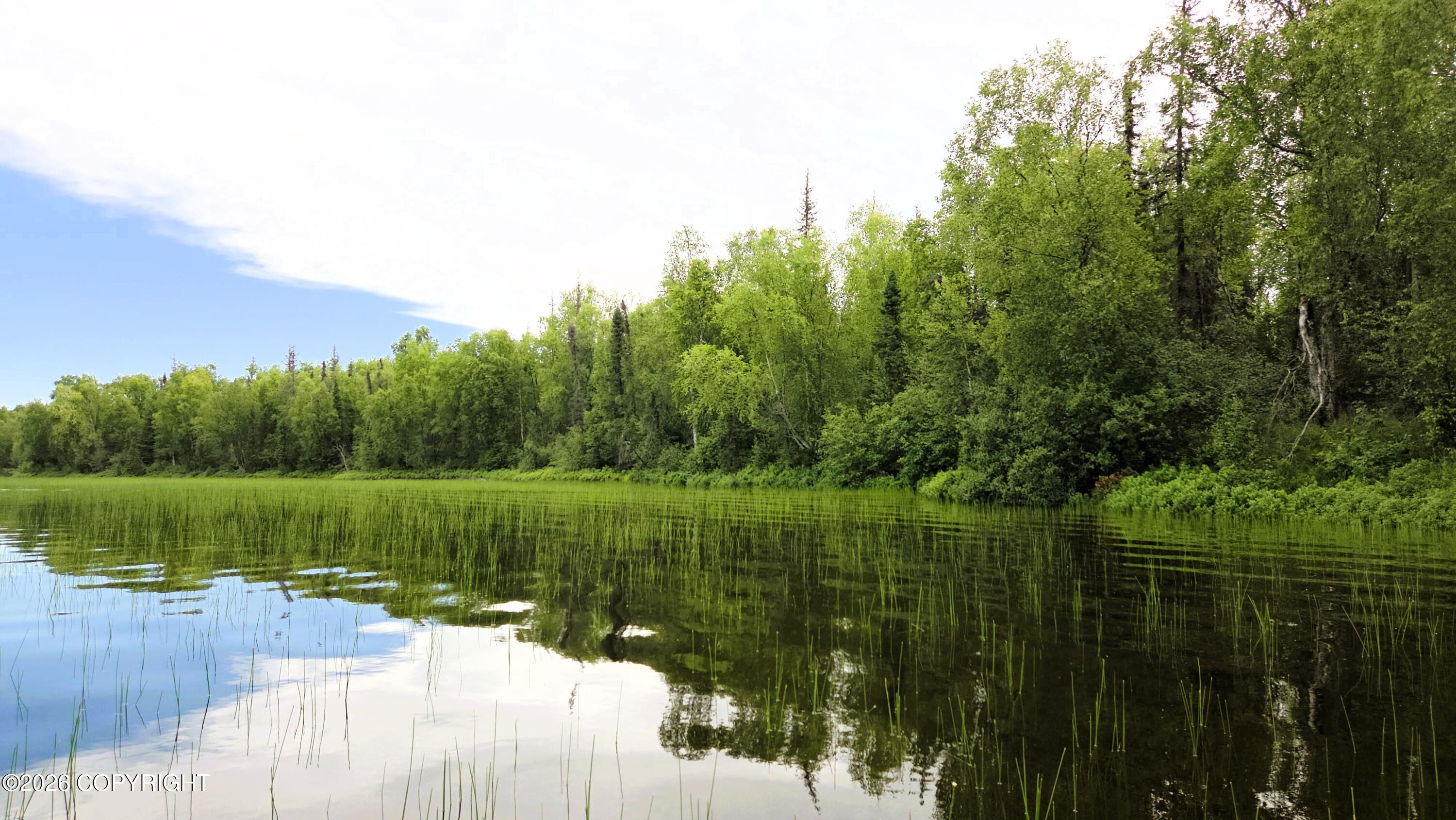 Tr E East Butterfly Lake Property Photo 14