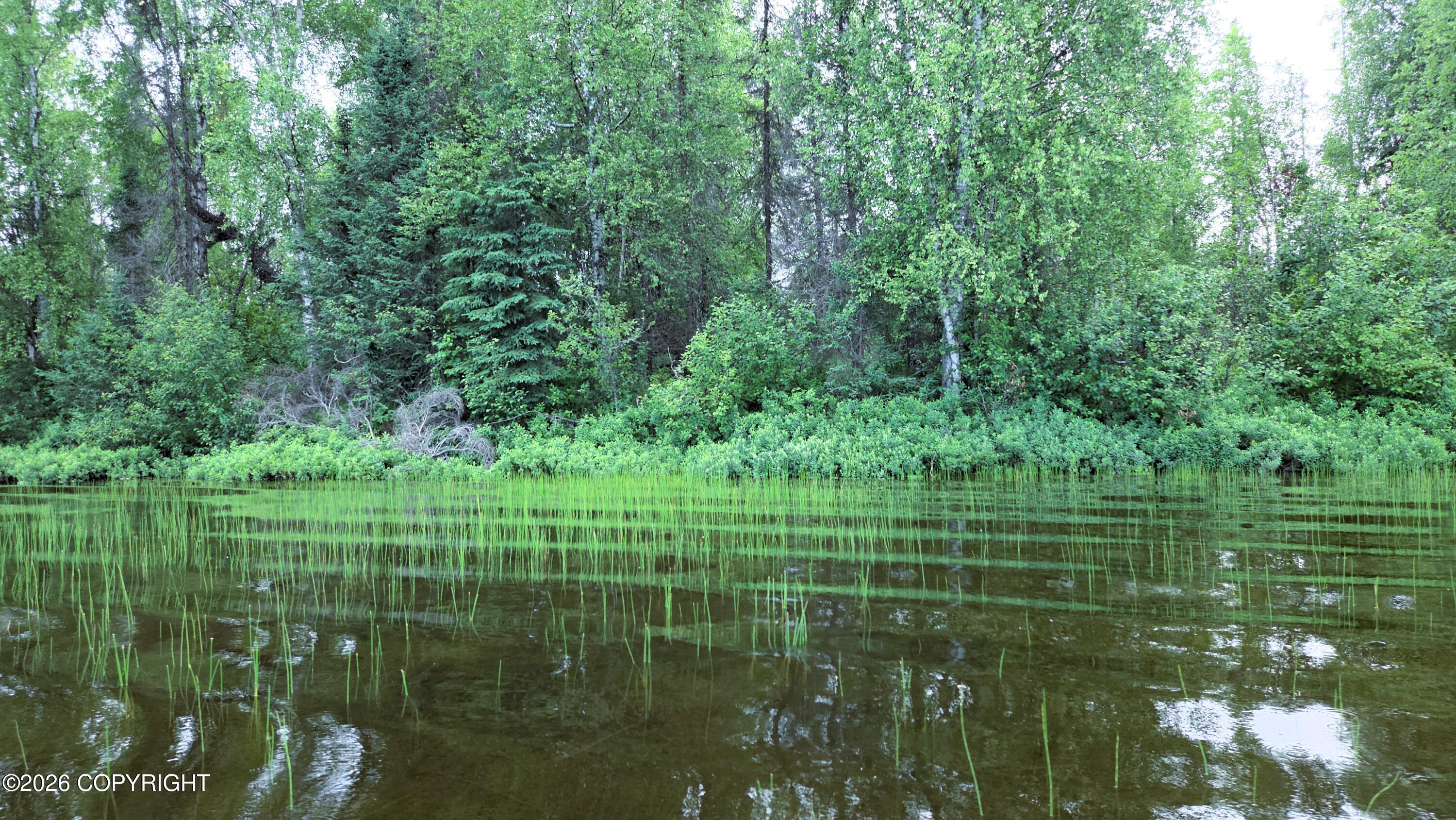 Tr E East Butterfly Lake Property Photo 15