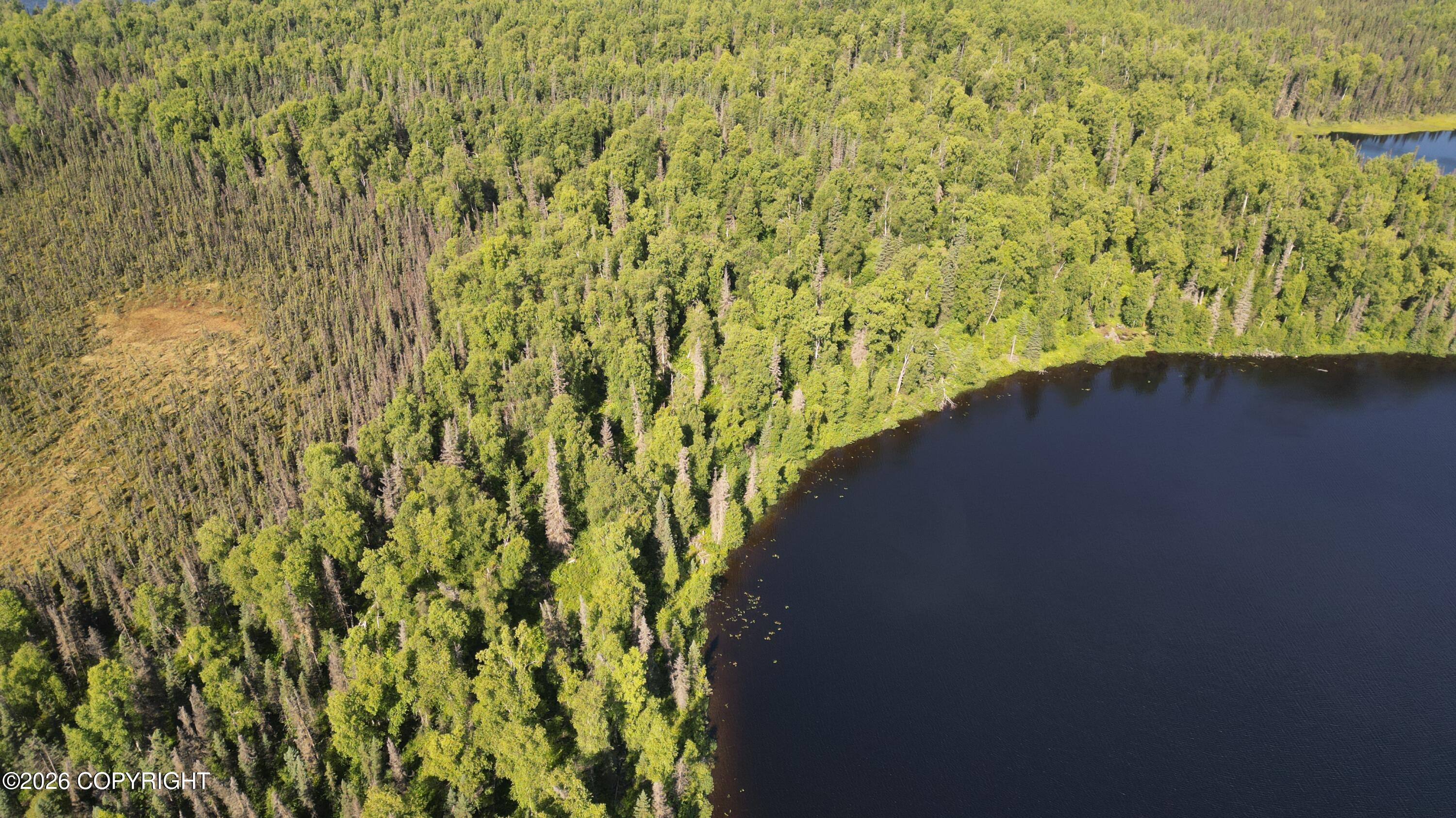 Tr G East Butterfly Lake Property Photo 6