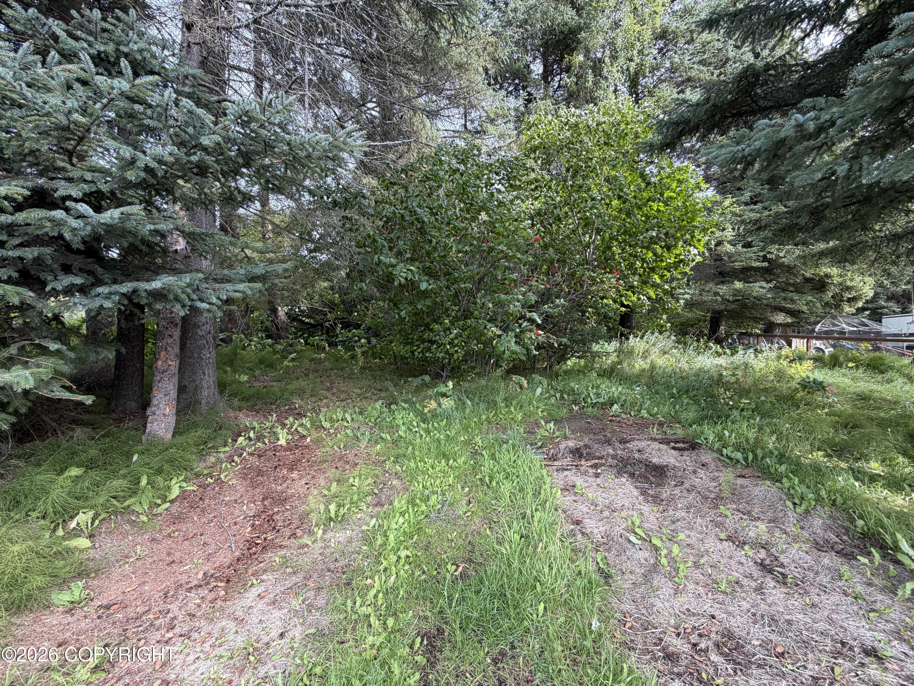 4768 Sabrina Road Property Photo 3