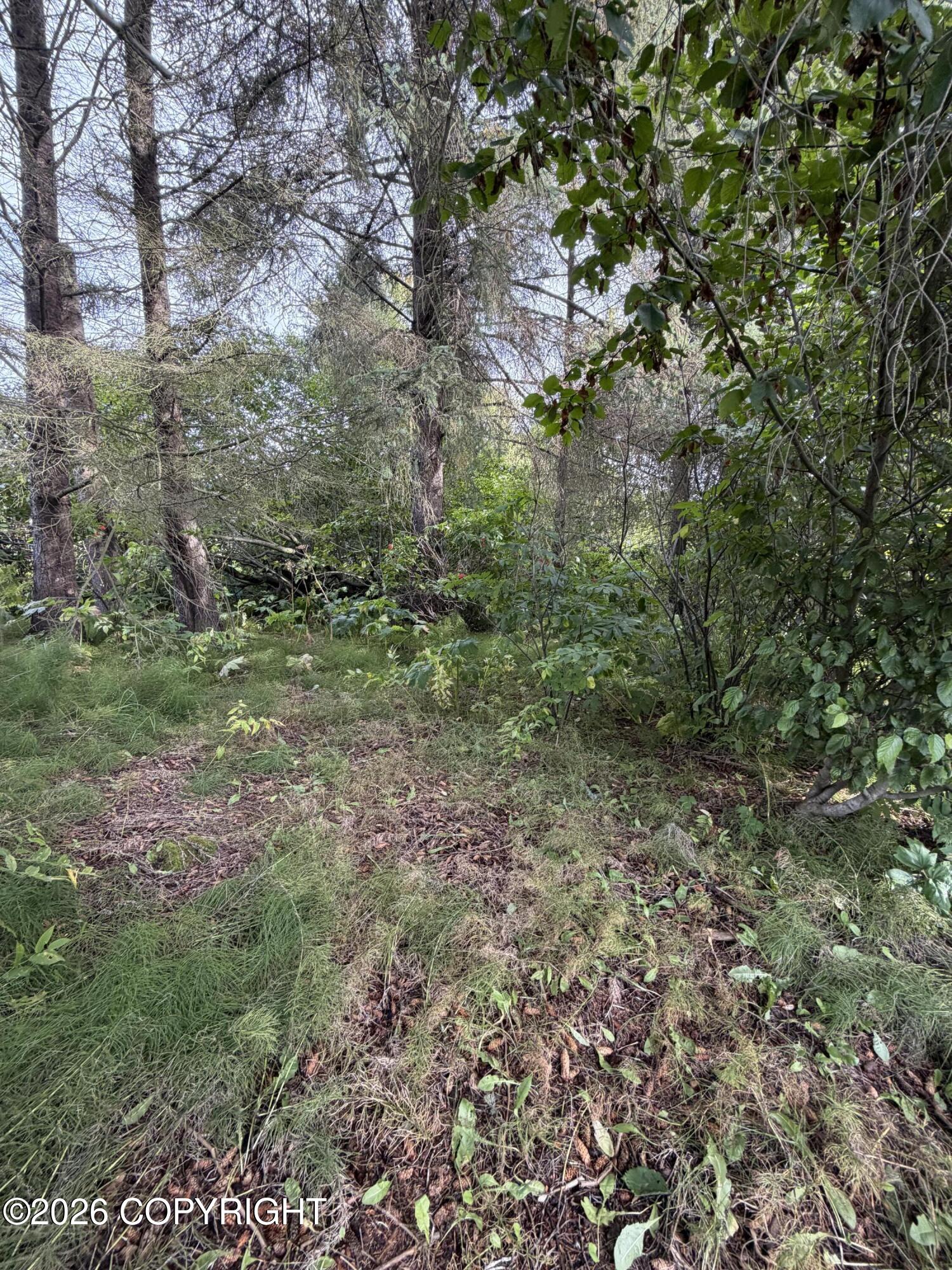 4768 Sabrina Road Property Photo 5