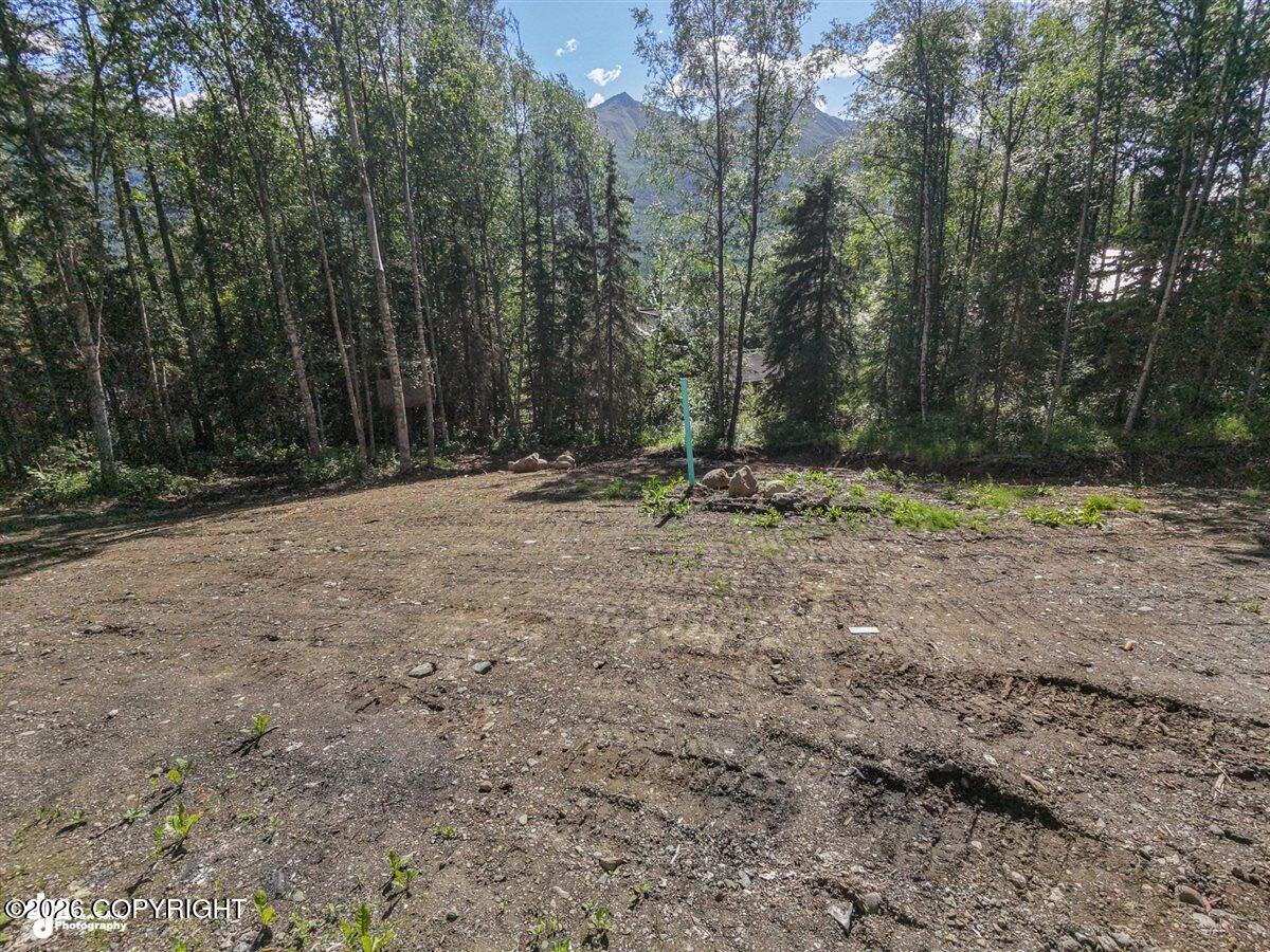 22900 Myrtle Drive Property Photo 61