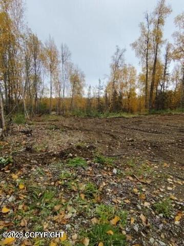 9745 S Gala Drive Property Photo 6