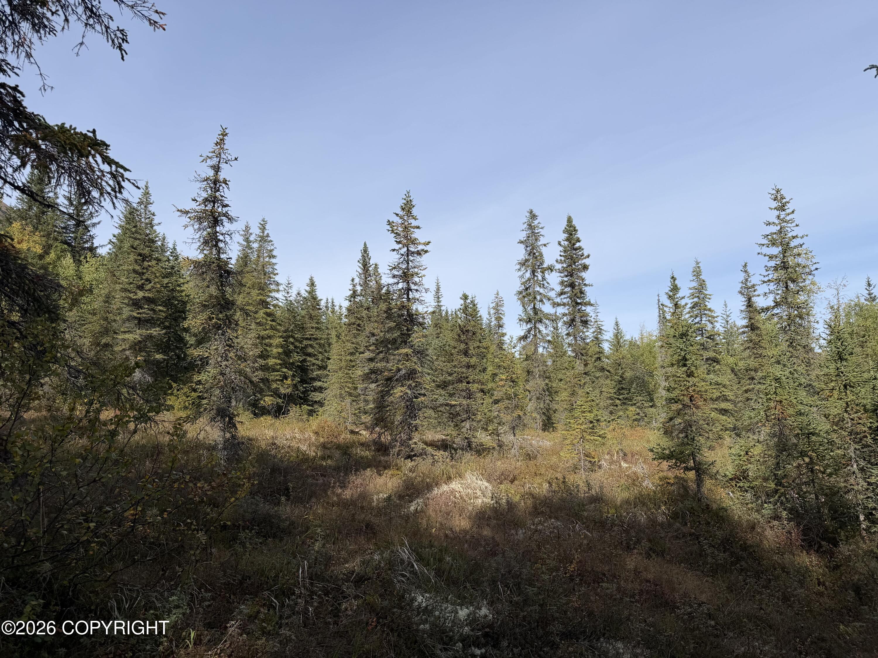 33700 Seward Highway Property Photo 7