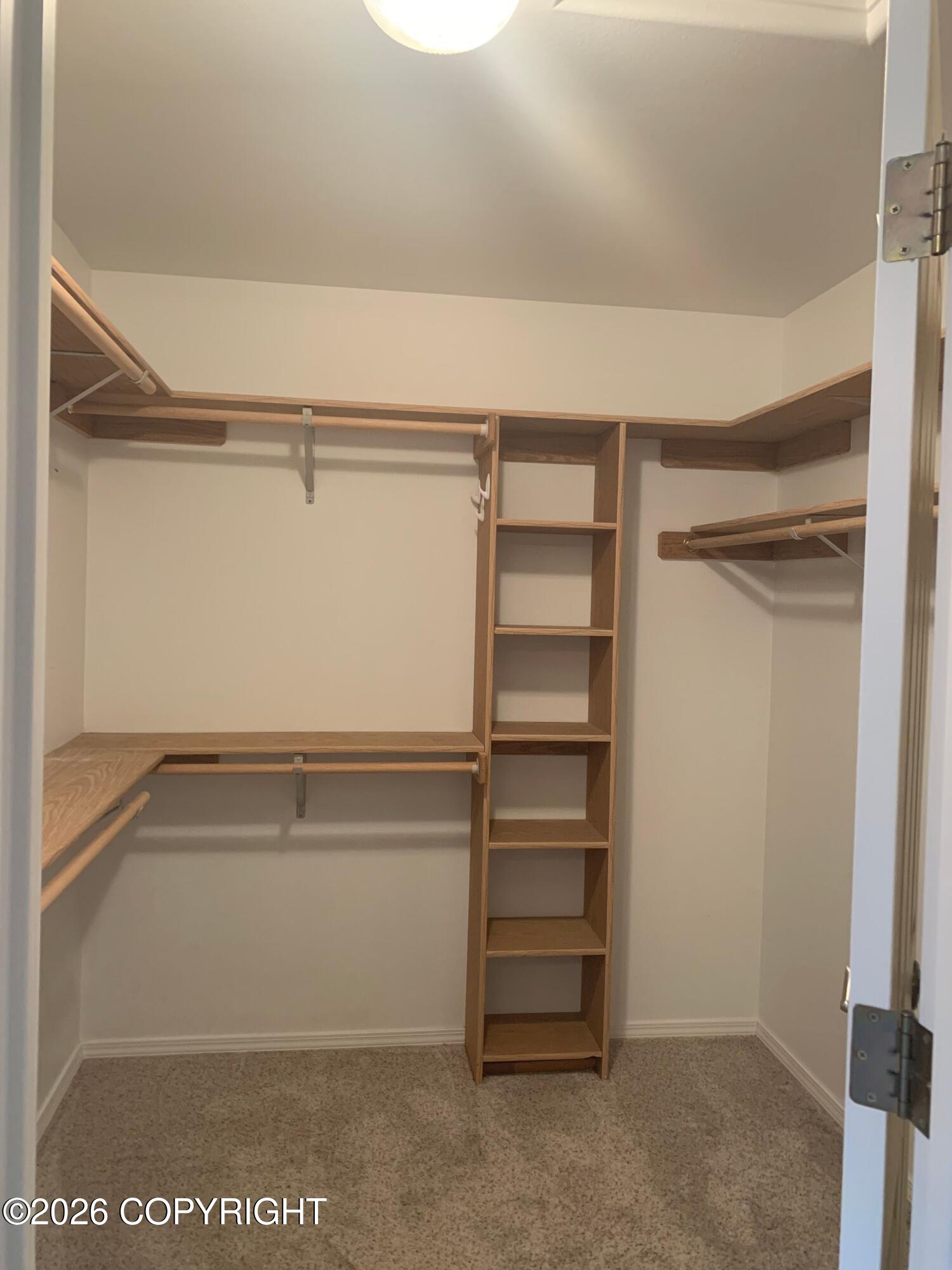 12125 Woodchase Circle Property Photo 17