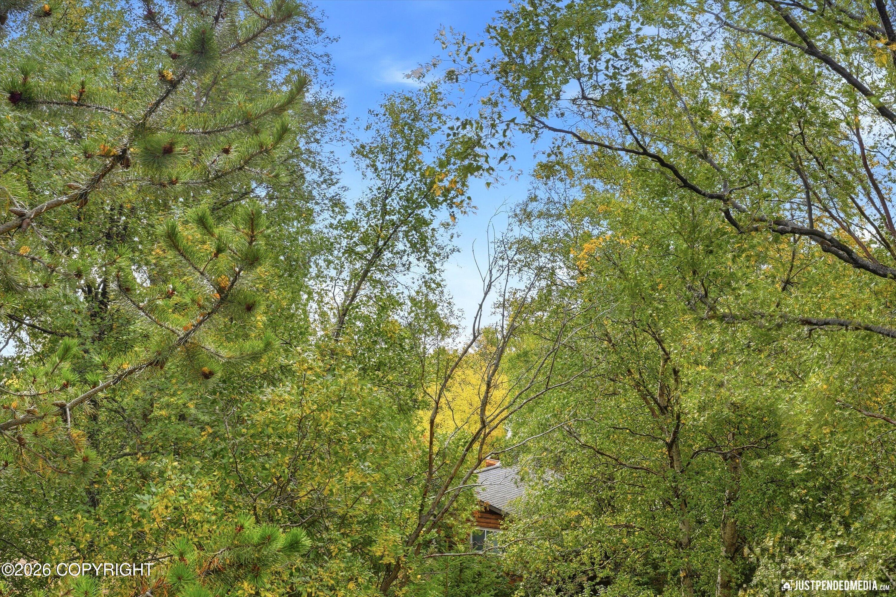 13770 Arne Erickson Circle Property Photo 64