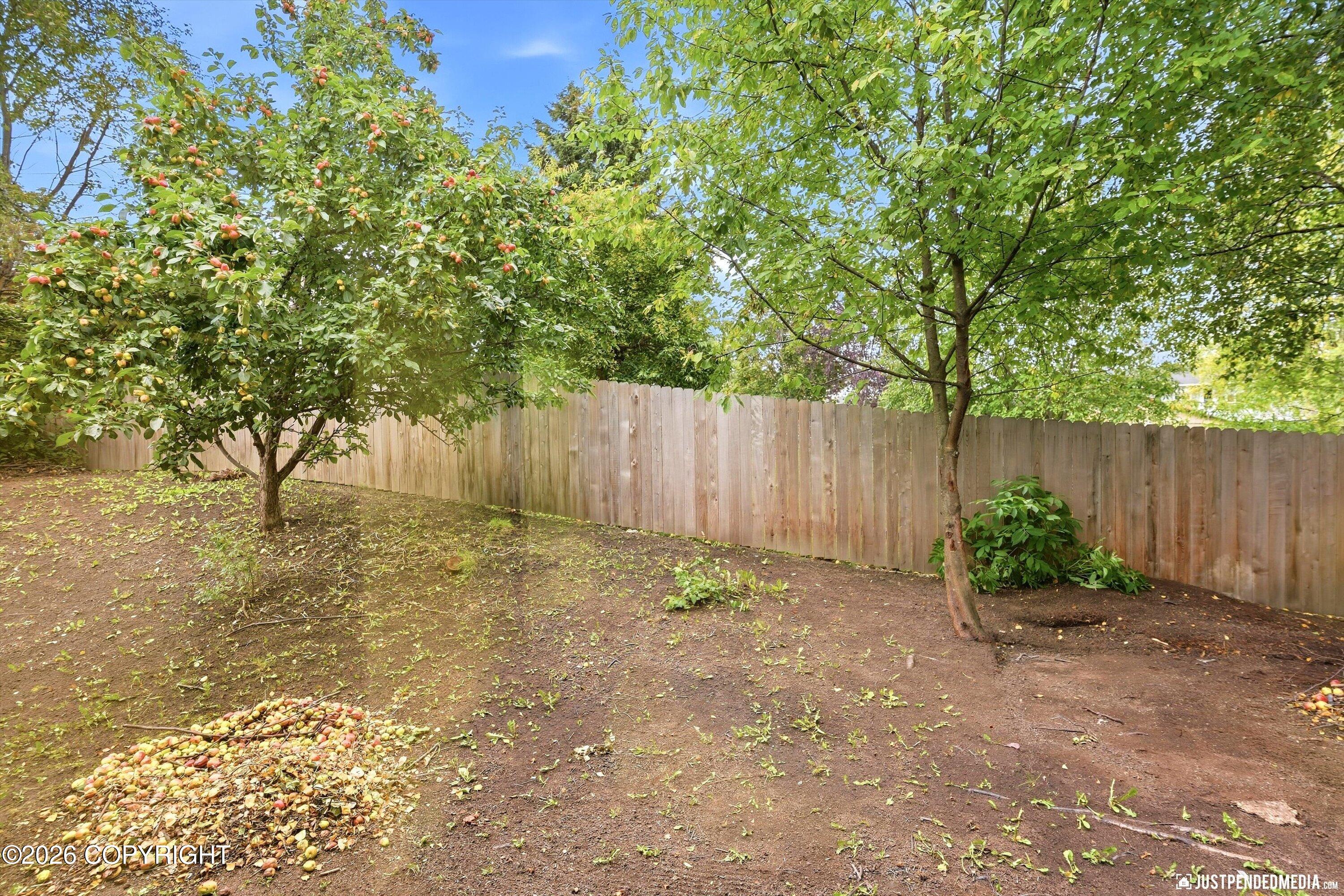 9231 Campbell Terrace Drive Property Photo 38
