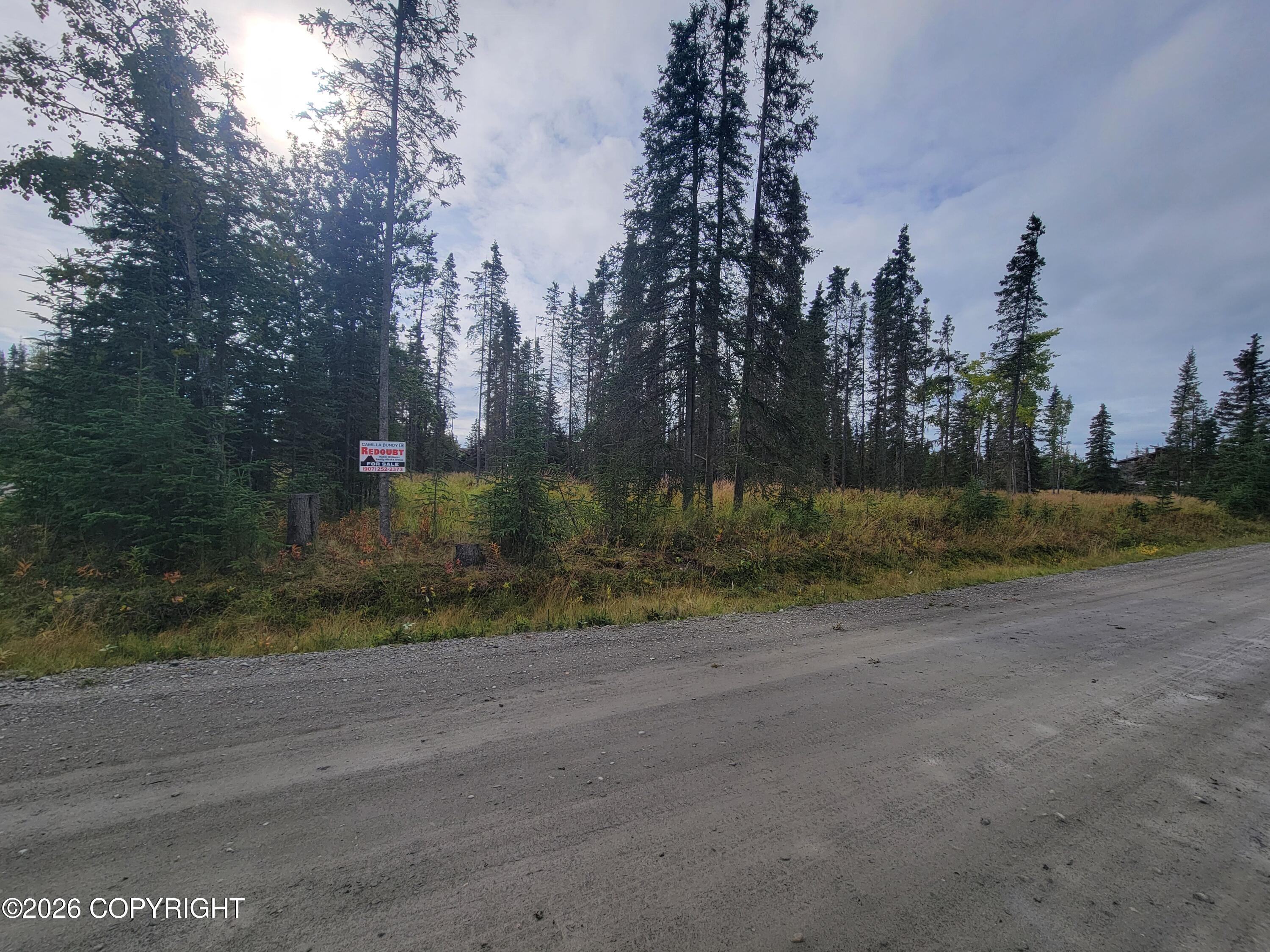 50685 Patrick Drive Property Photo 11