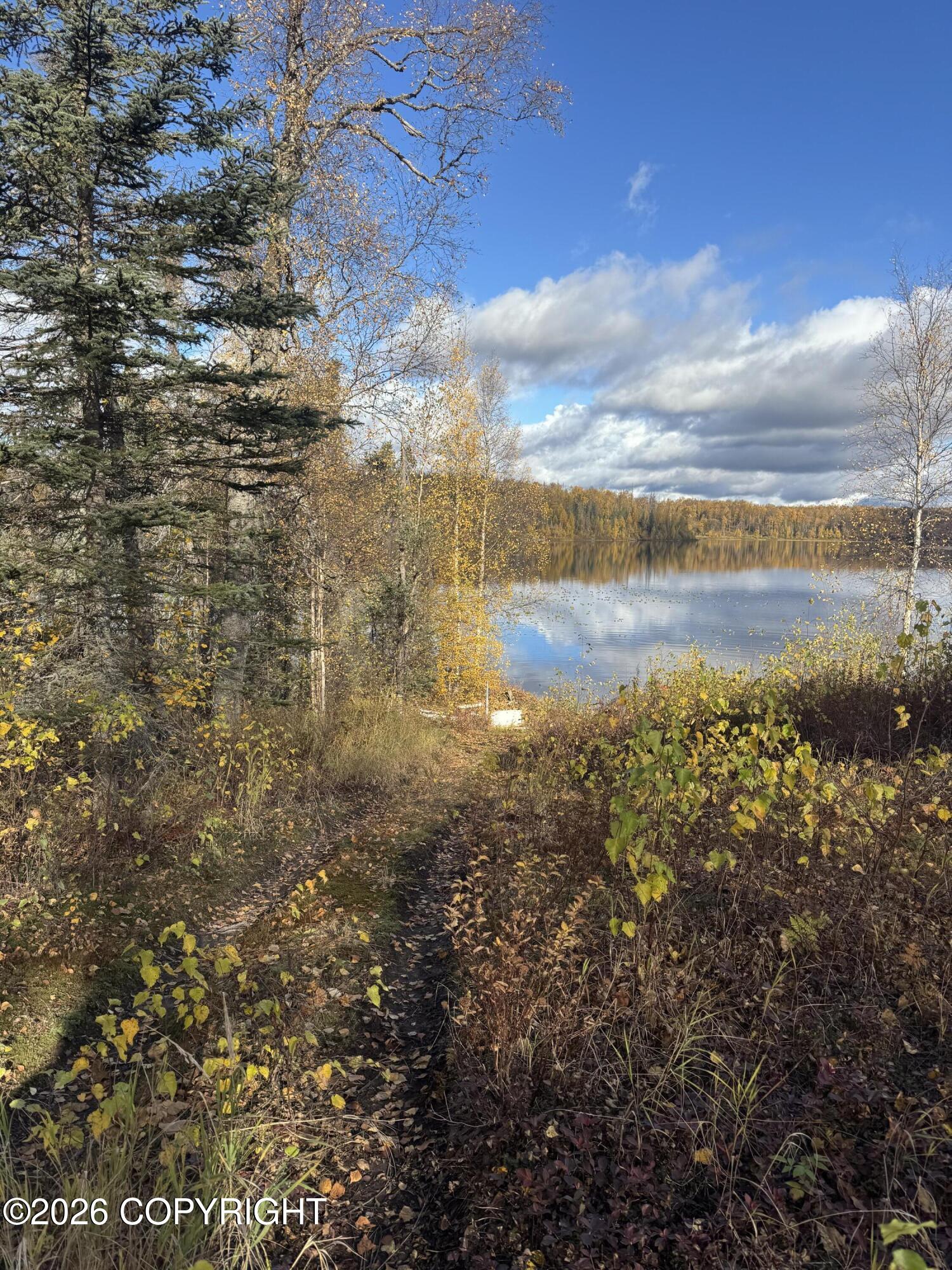 Tr 28 Amber Lake Ak Sm Property Photo 22