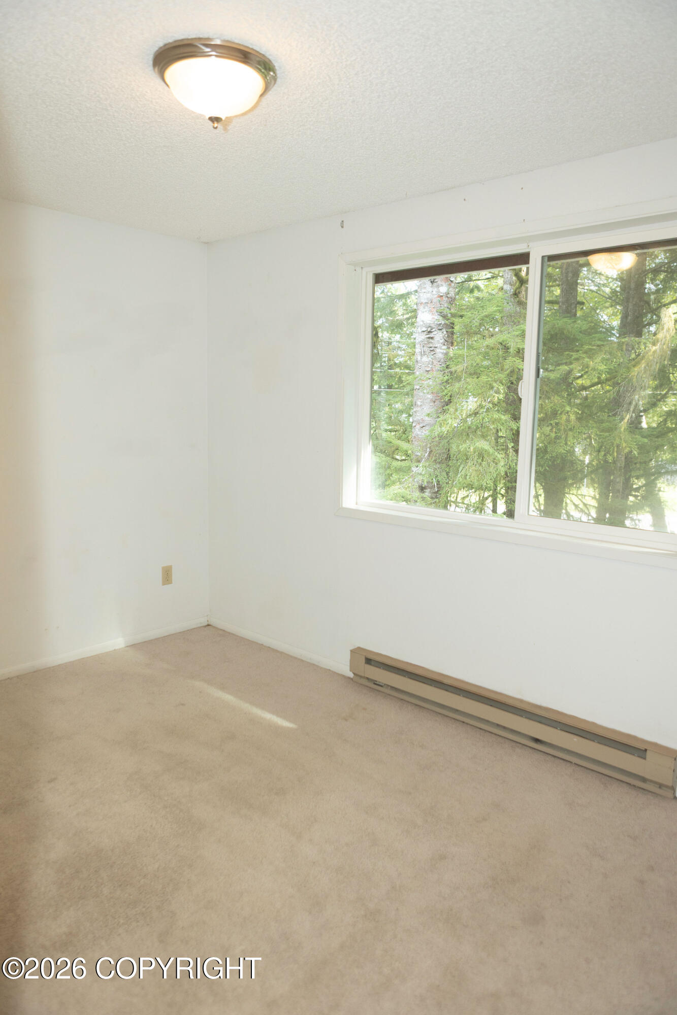 15 Wood Road Property Photo 17