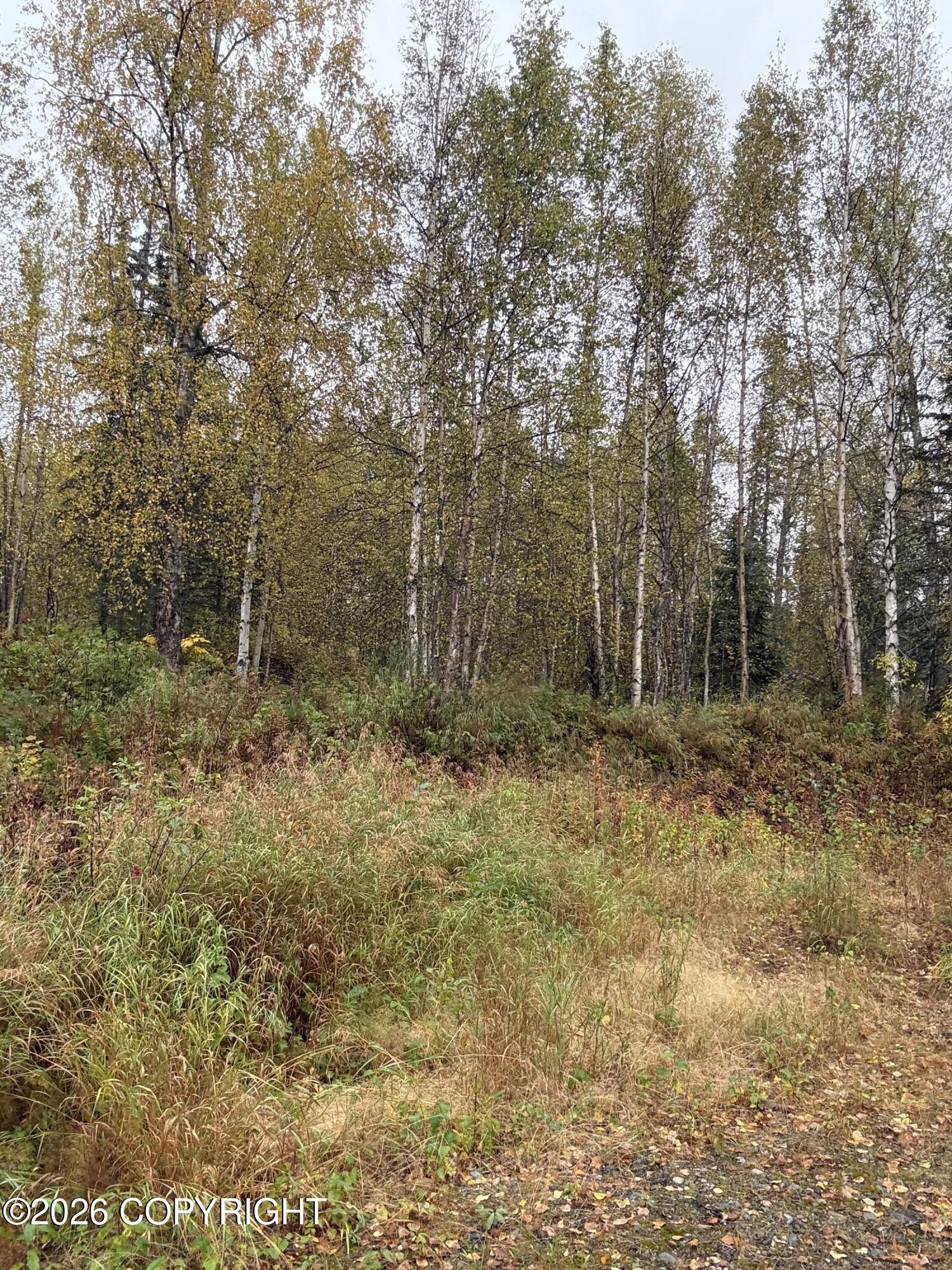 21174 E Alitak Road Property Photo 1
