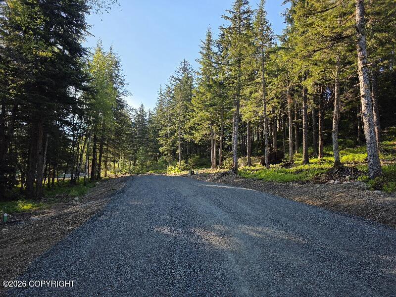 Lot 1 Major Road Property Photo 2