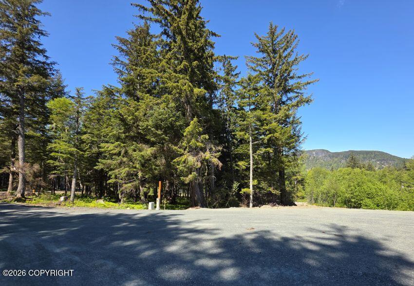 Lot 1 Major Road Property Photo 4