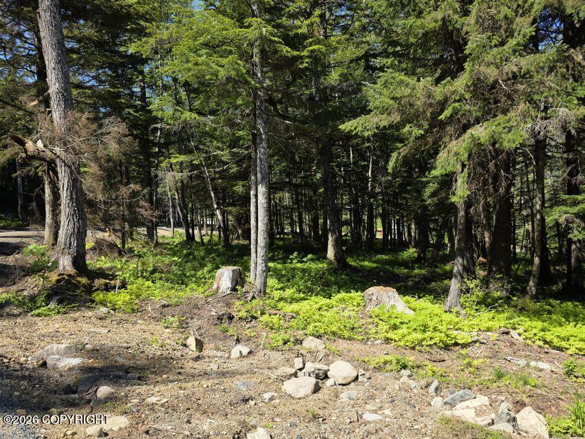 Lot 2 Hill Side Loop Property Photo 2
