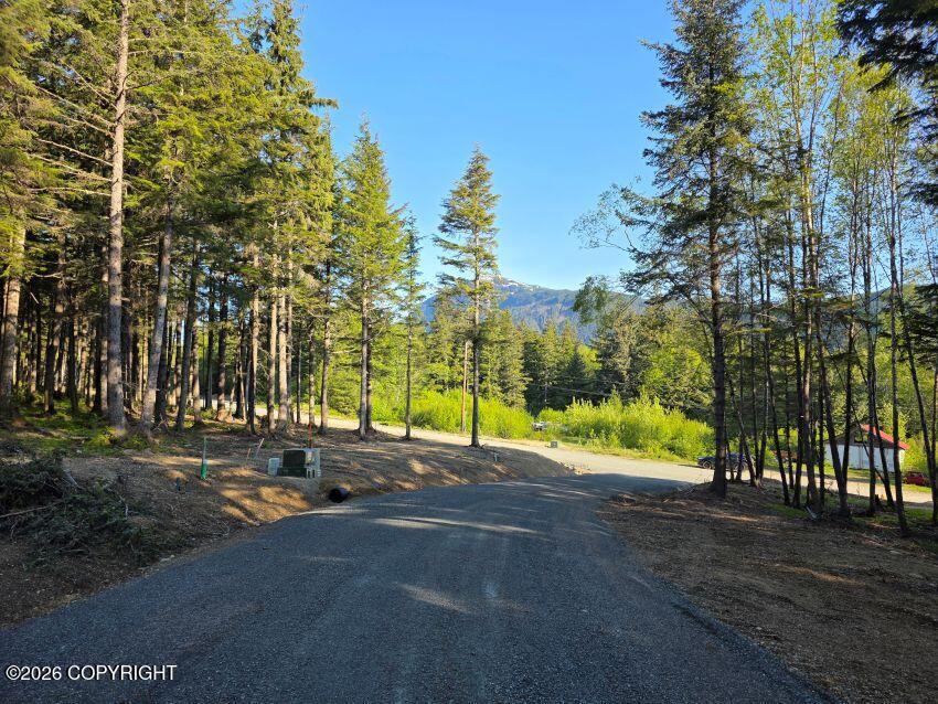 Lot 2 Hill Side Loop Property Photo 3