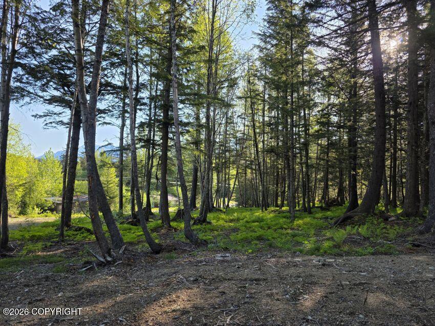 Lot 4 Major Road Property Photo 3