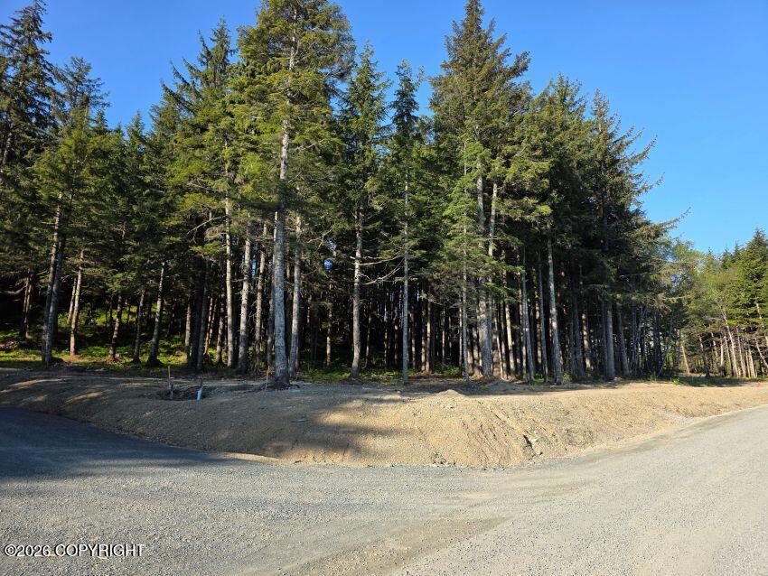 Lot 5 Major Road Property Photo 2