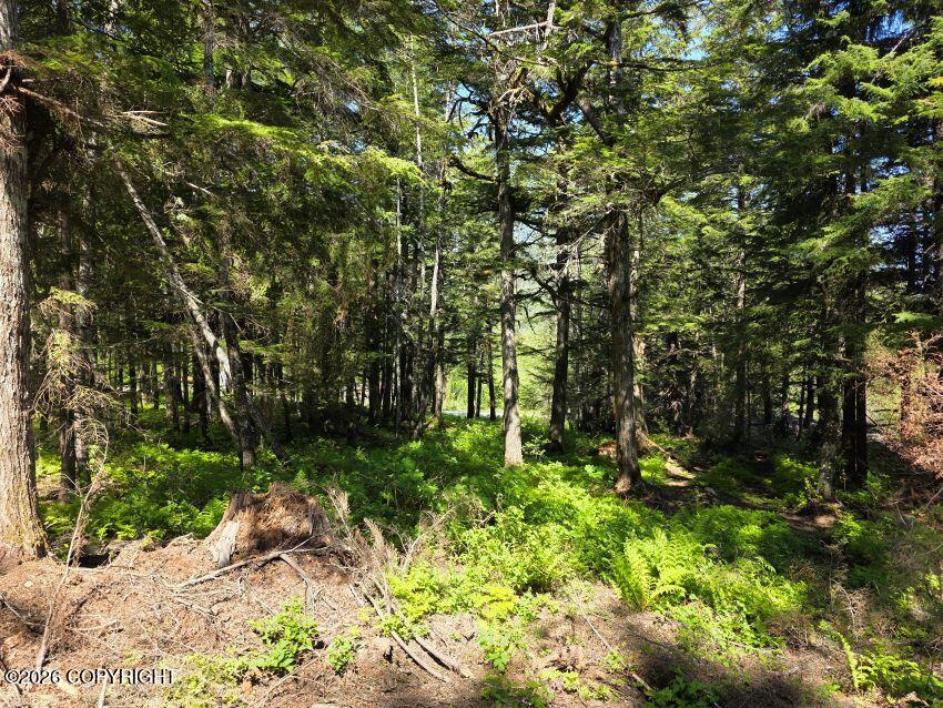 Lot 5 Major Road Property Photo 3