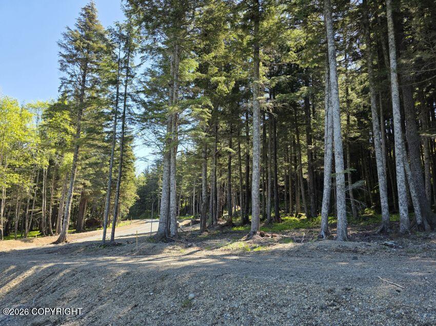 Lot 6 Hill Side Loop Property Photo 2