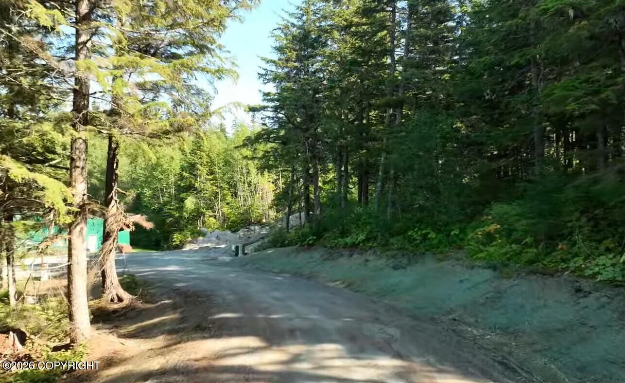Lot 9 Hill Side Loop Property Photo 2