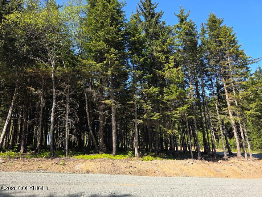 Lot 24 Major Road Property Photo 2