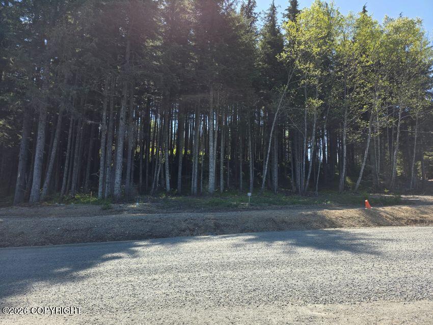 Lot 24 Major Road Property Photo 3