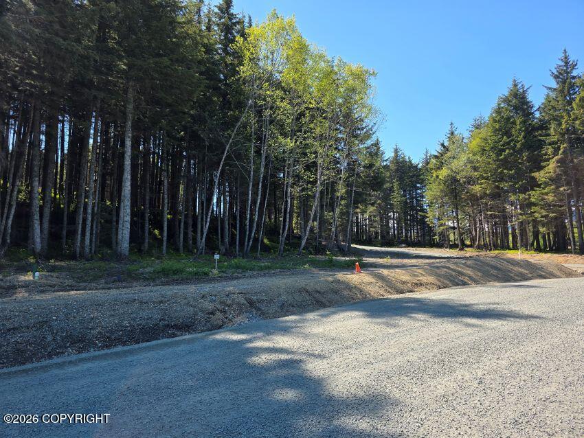 Lot 24 Major Road Property Photo 4