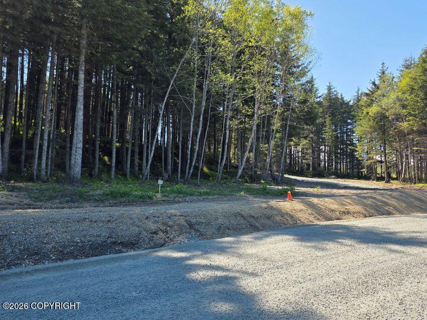 Lot 24 Major Road Property Photo 5