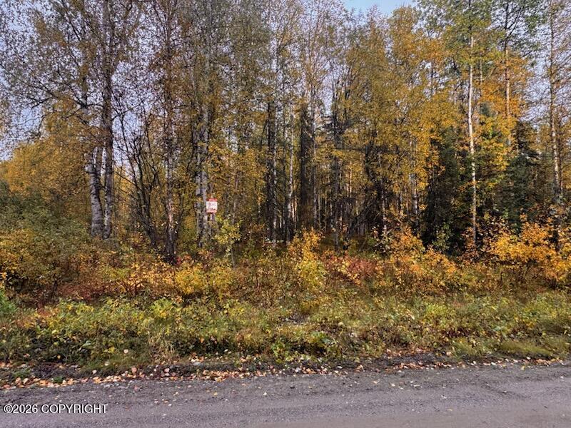 12913 N Pettis Drive Property Photo 2