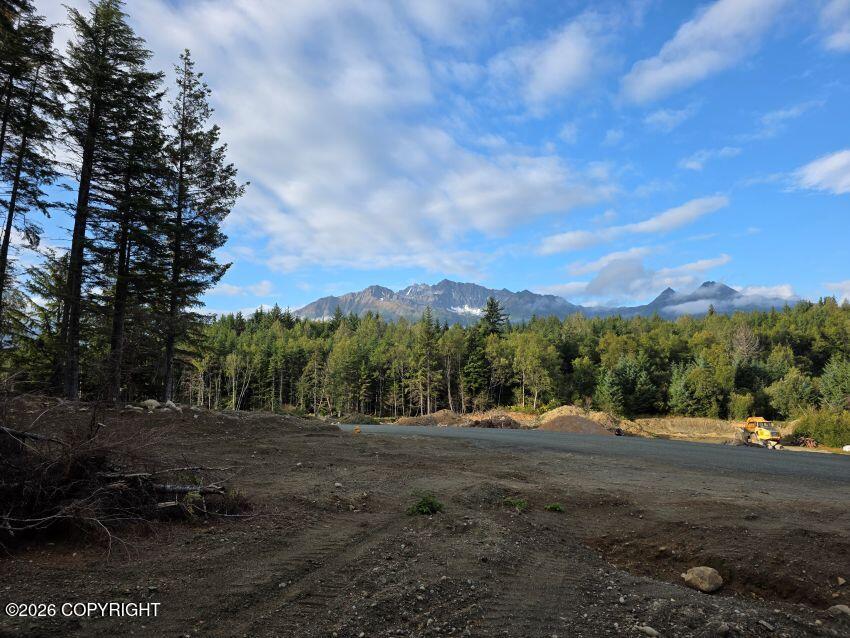 Lot 52 Cordes Drive Property Photo 1