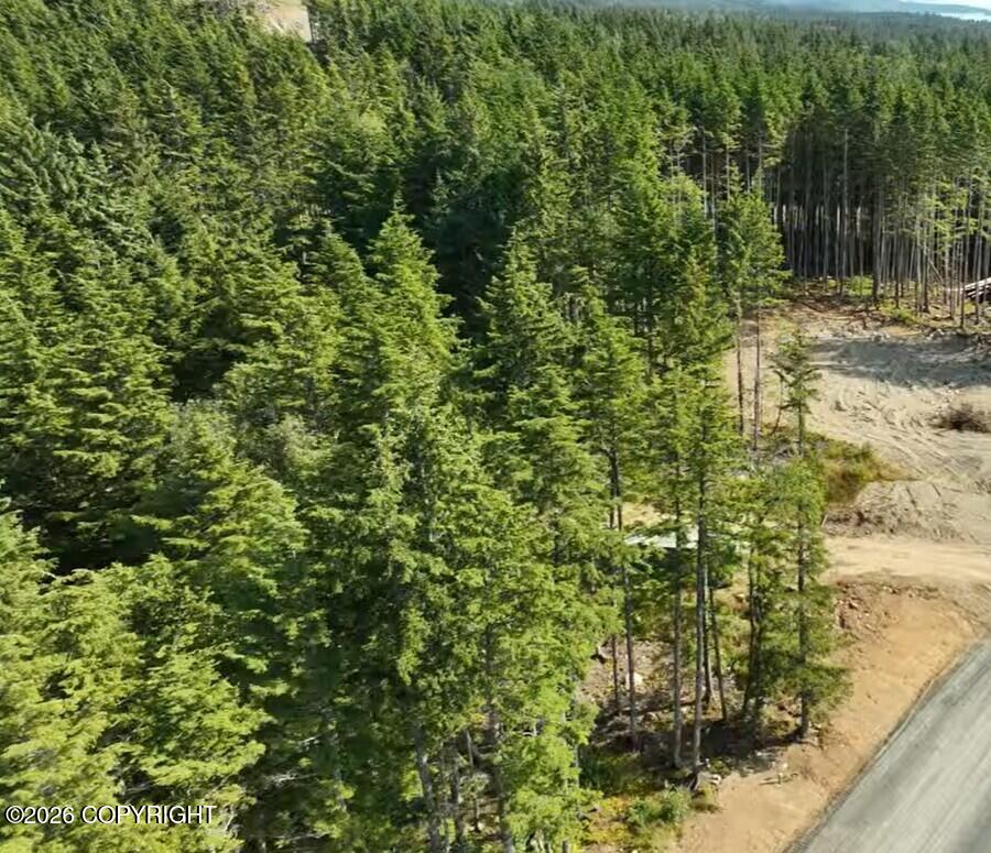 Lot 52 Cordes Drive Property Photo 3