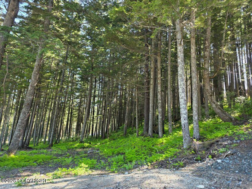 Lot 25 Martin Avenue Property Photo 2