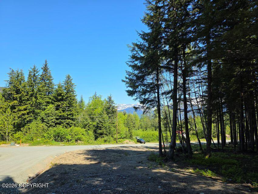 Lot 25 Martin Avenue Property Photo 4