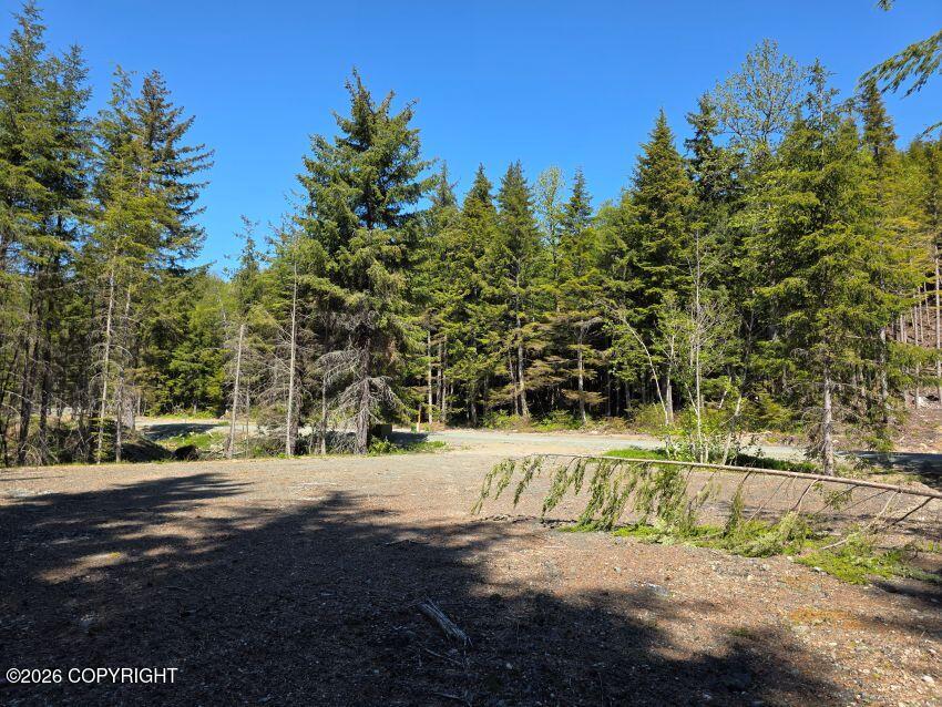 Lot 31 Martin Avenue Property Photo 1