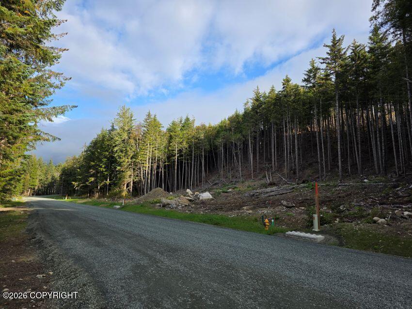 Lot 32 Martin Avenue Property Photo 1