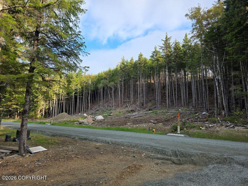 Lot 33 Martin Avenue Property Photo 1
