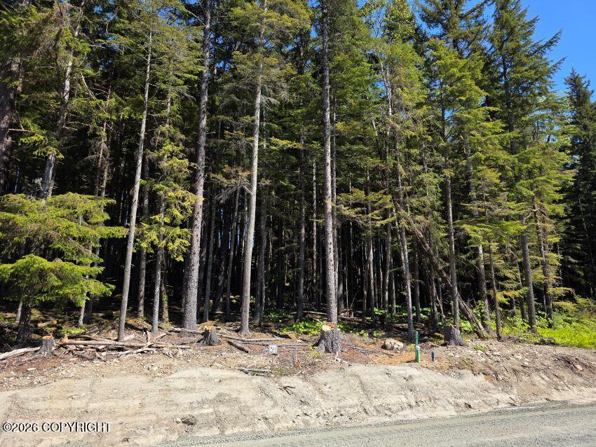 Lot 34 Martin Avenue Property Photo 1