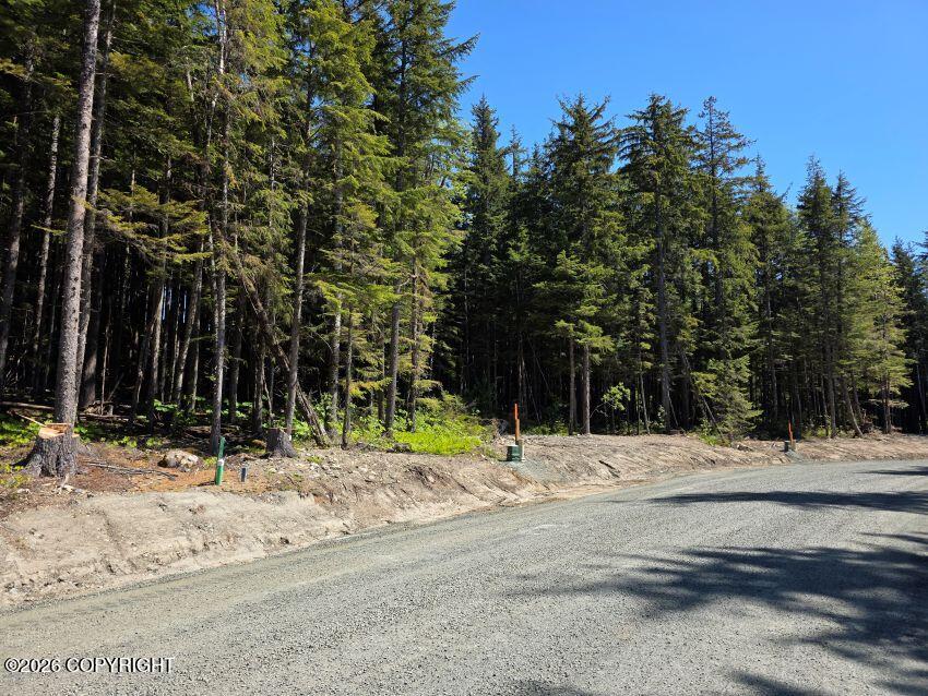 Lot 35 Martin Avenue Property Photo 1