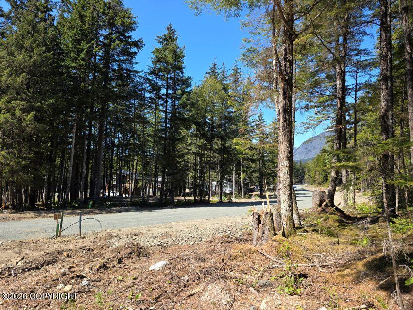 Lot 36 Martin Avenue Property Photo 1