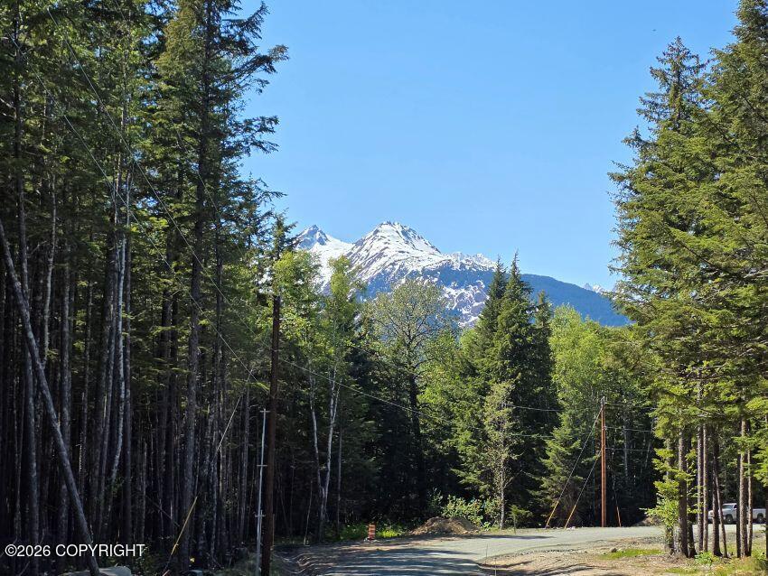 Lot 36 Martin Avenue Property Photo 2