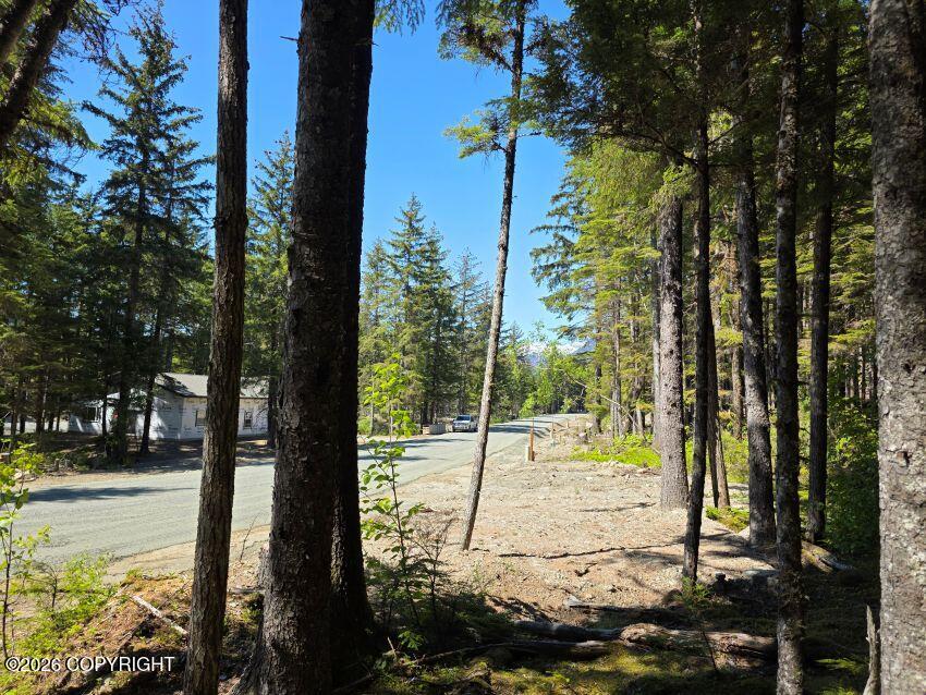 Lot 36 Martin Avenue Property Photo 3