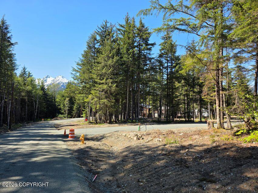 Lot 37 Allie Road Property Photo 1
