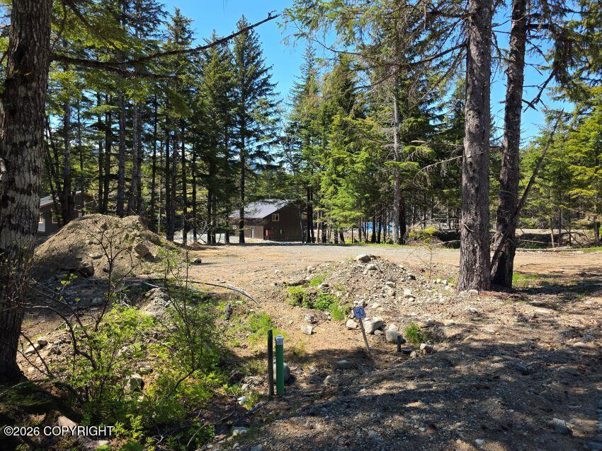 Lot 40 Martin Avenue Property Photo 1