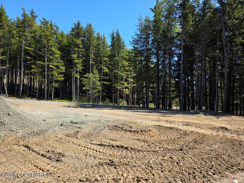 Lot 40 Martin Avenue Property Photo 2