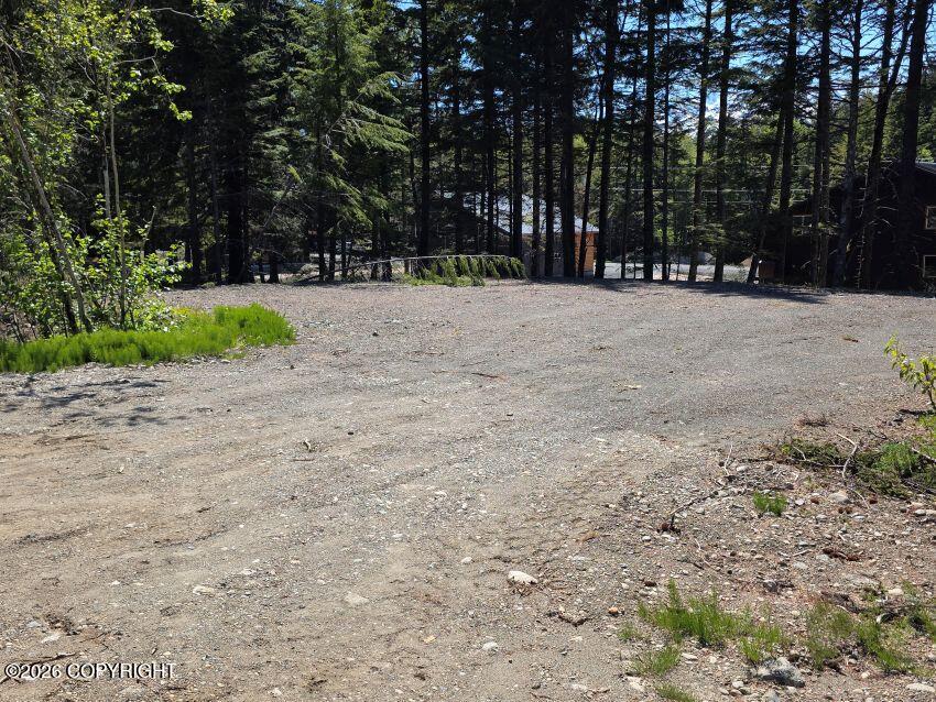 Lot 41 Martin Avenue Property Photo 3